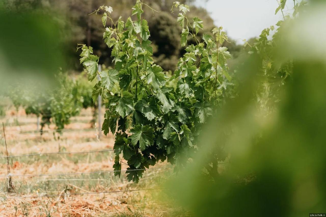EntrecasteauxDomaine Des Bruguieres别墅 外观 照片